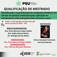 06/10/2025 - QUALIFICAÇÃO - Mestranda: Dirce Consuelo Coronato Correia Américo - Orientadora: Dra. Érica Marusa Pergo Coelho