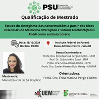 16/12/2024 - Qualificação - Maria Eduarda de Sá Simplicio - Orientadora: Profa. Dra. Érica Marusa Pego Coelho